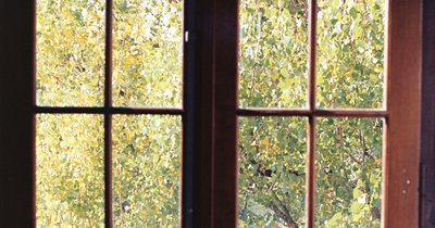 Türen und Fenster in der Nähe: Handwerksbetriebe