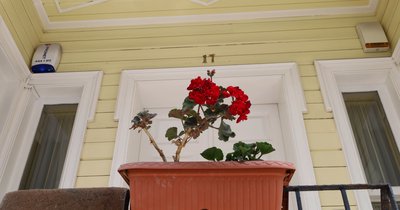 Alarmanlage Fenster und Türen: Funktionsweise