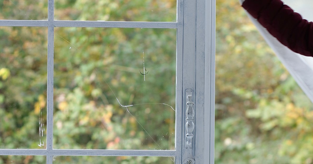 Fliegengitter Türen und Fenster: Montage